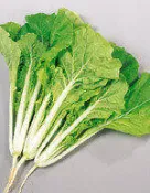 【媽咪蔬果園】、皺葉小白菜