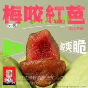 梅咬紅心芭樂  100g  無籽梅肉+紅心芭樂  果乾 伴手禮 名產  芭樂乾  現貨 隔日配  HT
