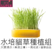 DIY水培貓草盒 送種子 只要澆水免培養土 貓草 小麥草 貓草盆栽 貓草盆 貓咪用品 寵物用品 【全新品】