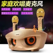 滿天星百貨 SD306家庭喇叭音響麥克風一體式雙人合唱手機K歌麥克風 藍牙話筒