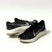 S.G Nike Pegasus Turbo Next Nature DM3413-001 黑 米白 男鞋 慢跑鞋 路跑