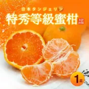 空運日本愛媛.和歌山特秀蜜柑1盒(1kg/禮盒) 免運組【築地一番鮮】