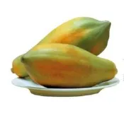 台農2號木瓜種子20粒50元