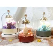 【OSTARA FLORIST 奧斯塔拉花藝】風鈴玻璃拍拍燈 經典水晶熊擺件系列(永生花、檯燈、節日花禮、水晶)