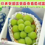 【緁迪水果JDFruit】日本長野/山梨縣溫室麝香葡萄(麝香葡萄禮盒)