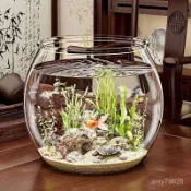 🔥臺灣24h🔥魚缸小型家用高透水培植物金魚綠植小型造景生態缸金錢草加厚高清
