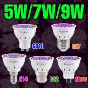 9W E27 LED植物生長燈泡220V全光譜7W E14紅藍補光燈MR16 5W溫室帳篷GU10多肉盆栽蔬菜花卉種子苔