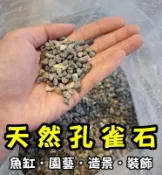 天然砂 ★ 孔雀石 1公斤 比溪石美呦！底砂 培菌 造景 園藝 細沙 石頭 砂石 沙子 魚缸底沙 類大磯石