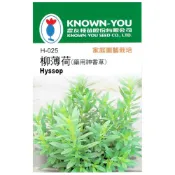 (店+)【天橙種子】柳薄荷種子H-025 約200粒 藥用神香草 香草種子 農友種苗 彩色原包裝