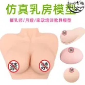 臺灣現貨乳房模型教具催乳師培訓仿真女性假乳房義乳母乳哺乳教學胸部倒模