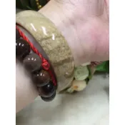 19圍60mm天然珊瑚玉 全透 菊花玉 手鐲手環