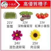 【植物保鑣】花 種子 苜蓿 紫蘿蔔芽 小番茄 波斯菊 向日葵 南瓜 大陸妹 花苗 土壤種植 盆栽 種花 花架 植物保標