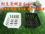 【園藝城堡】附生淺網盆6吋 鹿角蕨 蕨類 萬代蘭 蘭花 空氣鳳梨 增加根部生長 提高透氣性