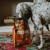 【狗主食】now 鮮肉無穀 中型成犬天然糧 狗飼料