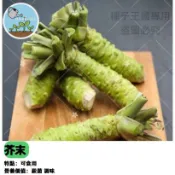 山葵種子 哇沙米山葵根  日本山葵種子    香辛料植物 庭院陰濕地種植 盆栽可種 稀有香草 綠手指挑戰