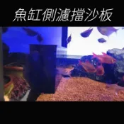 專業定製 亞克力 防沙防吸 魚缸底濾擋沙板 魚缸隔離網 防直溢 防沙 溢流盒 流背濾擋沙 魚梳防沙