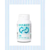 現貨供應 🍃葡眾產品 全新包裝 葡萄王 愛益 保證公司貨 效期最新 艾逸 正品 營養品 珍珠粉 保健品 另售 995