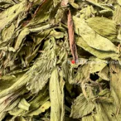 甜菊葉-寵物用香草類 / 風乾食材 / 鸚鵡用品相關-雜貨舖