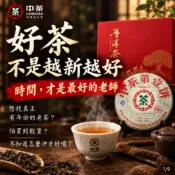 【中茶】2007中茶第壹餅0001 普洱生茶 380g 老茶茶餅 中秋 正貨 普洱茶 普洱生茶 生普 老茶 陳年普洱