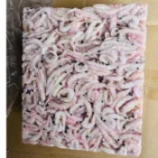 誘餌專用南極蝦磚 不是NG蝦 蝦磚 南極蝦 誘餌 蝦磚
