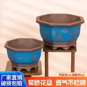 【精選之家】紫砂瓷盆八角花盆陶瓷蘭花盆綠植盆六角八邊形八方盆景正方盆景盆