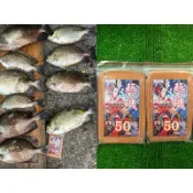 藝磯 超強 練餌 磯釣 煉餌 萬能 萬用 臭肚 澎湖 上礁 岸邊 海釣場 黑鯛 鶯歌 倒吊 貓貓 星點臭肚 腥味