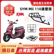 【台灣速發 免運】SYM NEW Mii 110 後架 謝金燕代言款 三陽 貨架 漢堡架 鋁箱 可搭配 漢堡架 置物箱