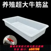 什物集 【台灣公司 可開發票】加厚水產養殖牛筋塑料水箱長方形淺盆賣魚養魚養龜方桶大容量膠盆