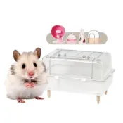 (店+)【Petvibe】鼠籠新手5件套(倉鼠鼠籠 倉鼠籠 黃金鼠籠 大鼠籠 60cm鼠籠 鼠籠 倉鼠飼養箱 倉鼠整理箱 倉鼠新手套組)