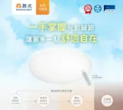 舞光 LED 雲朵遙控吸頂燈 無極調光 紅外線遙控 30W 50W 全電壓 CNS認證 適用 住家 商業空間 好商量~【APP滿額下單10%點數(單一帳號最高1000點)】9/30止