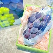 【舒果SoFresh】8-9S 日本貓眼葡萄單入禮盒+提袋 (約600g/中秋禮盒)