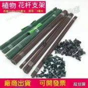 限時特賣🎉蝴蝶蘭支架 園藝植物夾子花卉固定藤蔓爬藤蘭花金錢樹天堂鳥支撐杆 龜背竹支撐杆 植物爬藤架 植物專用支架