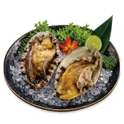 【小川漁屋】南非活凍帶殼鮑魚1包(500g±10%/包/約6-8粒)