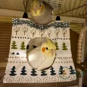 【透氣布藝】鸚鵡帳篷 鳥窩 懸掛式 鸚鵡睡窩 虎皮鸚鵡 玄鳳 小太陽 牡丹 森林系 透氣吊床