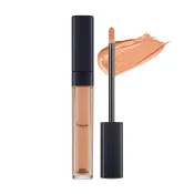 屈臣氏Watsons heme 無瑕持久遮瑕蜜 - 22 Honey Peach 6ml