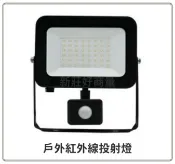 LED 戶外紅外線投射燈感應 20W 30W 50W 照明燈 車庫燈 現貨 LED感應 特價促銷 好商量~【APP滿額下單10%點數(單一帳號最高1000點)】9/30止