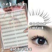免膠款四大美人-昭君懶人下睫毛自然仿真單簇分段式超軟【蕭妞實業】
