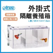 (店+)【ISTA 伊士達】【春日水族】ISTA 外掛式隔離養殖箱 L型 隔離箱 隔離盒 飼養盒 治療盒 壓克力盒 孔雀魚 球魚 隔離傷魚 伊士達