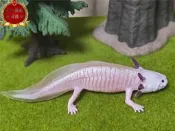 〈全場免運〉Safari Ltd美國正品 2023年新 蠑螈 仿真動物模型兒童玩 104650