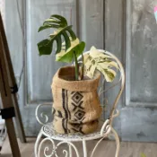 咖啡豆袋麻布袋花盆套｜斑啾植選x憶福棧商行｜可水洗｜布藝花盆｜居家裝飾｜花盆裝飾｜咖啡豆袋｜亞麻袋｜麻袋｜編織袋｜花器