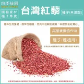 台灣紅藜種子 又稱「紅藜」、「原住民小米」，是台灣原生的藜麥作物【四季綠園】