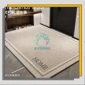 🛒臺灣出貨🛒入戶門地墊 進門腳墊子 大門口入戶防滑地毯 家用輕奢高級感入門門墊/