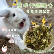 【特調點心】草本什錦點心 牧草零食 兔子點心 乾草點心 乾燥蔬菜 兔子零食 龍貓零食 小寵零食 天然蔬菜 龍貓 天竺鼠