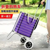 🔥台灣熱銷🔥購物車 拖車 買菜小拉車 手推車 可摺疊菜籃子家用輕便老年購物車
