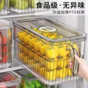 全球選品1館 生活百貨 冰箱保鮮收納盒食品級廚房專用蔬菜水果雞蛋冷凍儲物整理盒帶手柄