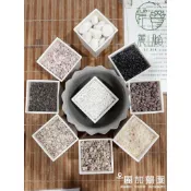 麗加 繽紛天然 鋪面石 黃玉石 白玉石 玫瑰石 黑膽石 曼特石 霓虹石 蛇紋石 鋪面 專用 漂亮石頭 造景石 園藝用石頭