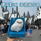 🔥免運 正版環球影城 哈利波特🦉嘿美信使公仔 站肩聲控互動公仔 海德薇貓頭鷹 站肩互動發聲 雪鴞毛絨玩偶 哈利波特貓頭鷹
