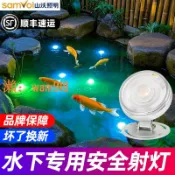 時悅商行 【台灣公司】水底燈水下燈水池景觀燈噴泉泳池燈LED七彩水景燈低壓魚池防水燈