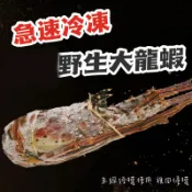 野生龍蝦 波士頓龍蝦【歐嘉水產】全家799免運 蝦幣10倍送 餐廳供應 批發