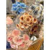 #JM花草夢竹北#索拉波斯菊/百日菊/雞蛋花/玫瑰/迷你索拉花